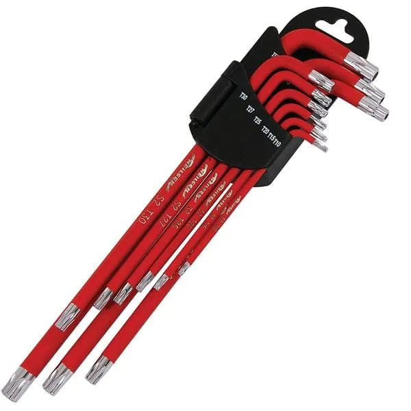 Torxnøkkelsett, magnetisk